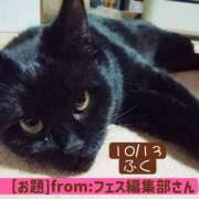 ヒメ日記 2026/10/13 05:00 投稿 高橋りょう 五十路マダム 新潟店(カサブランカグループ)