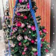 ヒメ日記 2025/12/14 09:55 投稿 夏目叶愛(なつめとあ) 九州熟女　八代店