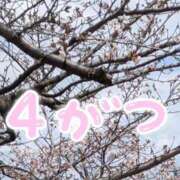 ヒメ日記 2026/04/01 07:05 投稿 夏目叶愛(なつめとあ) 九州熟女　八代店