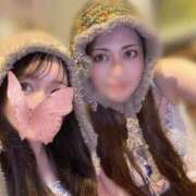 ヒメ日記 2025/02/04 17:52 投稿 ゆめ グランローズ