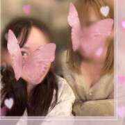 ヒメ日記 2025/02/08 20:46 投稿 ゆめ グランローズ