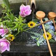 ヒメ日記 2025/08/03 11:23 投稿 ゆめ グランローズ