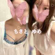 ヒメ日記 2025/09/08 07:38 投稿 ゆめ グランローズ