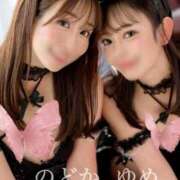 ヒメ日記 2025/11/19 20:00 投稿 ゆめ グランローズ