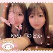 ヒメ日記 2026/06/30 09:05 投稿 ゆめ グランローズ