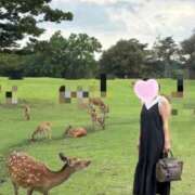 ヒメ日記 2026/07/14 17:42 投稿 ゆりえ 梅田アバンチュール
