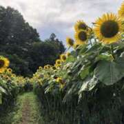 ヒメ日記 2025/08/16 21:24 投稿 あや ニュー姫