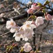 ヒメ日記 2026/03/24 10:35 投稿 あや ニュー姫