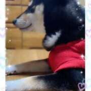 ヒメ日記 2025/03/03 00:40 投稿 るな 奥様の実話 梅田店