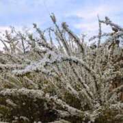 ヒメ日記 2025/04/03 23:06 投稿 るな 奥様の実話 梅田店