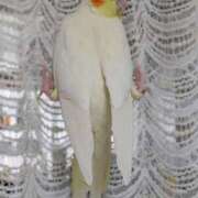 ヒメ日記 2025/04/12 19:34 投稿 るな 奥様の実話 梅田店