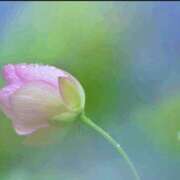 ヒメ日記 2025/06/10 09:06 投稿 るな 奥様の実話 梅田店