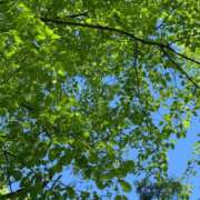 ヒメ日記 2025/06/17 00:27 投稿 るな 奥様の実話 梅田店