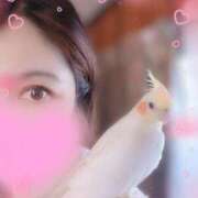 ヒメ日記 2025/06/19 22:34 投稿 るな 奥様の実話 梅田店