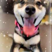 ヒメ日記 2025/07/11 00:25 投稿 るな 奥様の実話 梅田店