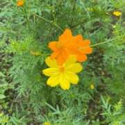 ヒメ日記 2025/08/28 19:49 投稿 るな 奥様の実話 梅田店