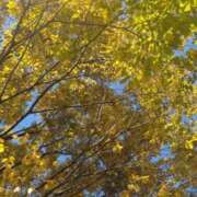 ヒメ日記 2025/11/03 18:33 投稿 るな 奥様の実話 梅田店