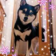 ヒメ日記 2025/11/22 23:51 投稿 るな 奥様の実話 梅田店