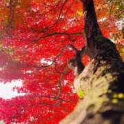 ヒメ日記 2025/12/03 10:45 投稿 るな 奥様の実話 梅田店