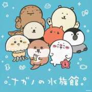 ヒメ日記 2025/01/10 04:15 投稿 ゆうこ 奥様の実話 谷九店