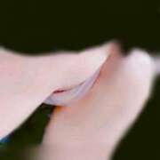 ヒメ日記 2025/10/07 09:15 投稿 ゆうこ 奥様の実話 谷九店