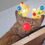 ヒメ日記 2025/12/24 13:17 投稿 みらい ベイキュート