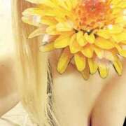 ヒメ日記 2025/07/26 17:36 投稿 みすず～マット～ アメイジングビル～道後最大級！遊び方無限大∞ヘルス♪～