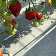 ヒメ日記 2025/03/10 17:18 投稿 ゆりあ La vista （ラビスタ）