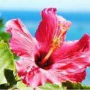 ヒメ日記 2025/05/14 21:38 投稿 北条なぎさ Mrs.Dandy Kinshicho