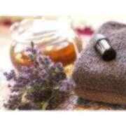 ヒメ日記 2025/11/29 05:17 投稿 北条なぎさ Mrs.Dandy Kinshicho