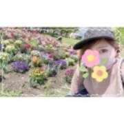 ヒメ日記 2025/04/27 02:26 投稿 西島すず Mrs.Dandy Kinshicho