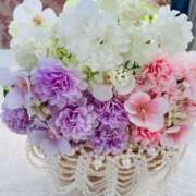 加山しあん 💐 Mrs.Dandy Kinshicho