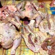 ヒメ日記 2024/12/16 16:43 投稿 佐々波エヴァ Mrs.Dandy Kinshicho