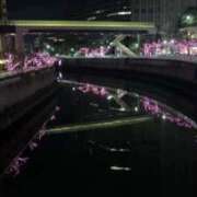 ヒメ日記 2025/01/12 11:21 投稿 佐々波エヴァ Mrs.Dandy Kinshicho