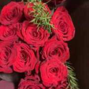 ヒメ日記 2025/02/26 17:44 投稿 佐々波エヴァ Mrs.Dandy Kinshicho