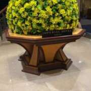 ヒメ日記 2025/04/13 18:03 投稿 佐々波エヴァ Mrs.Dandy Kinshicho