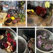 ヒメ日記 2025/06/30 07:31 投稿 佐々波エヴァ Mrs.Dandy Kinshicho