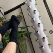 ヒメ日記 2025/11/16 08:01 投稿 佐々波エヴァ Mrs.Dandy Kinshicho