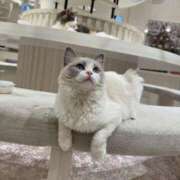 ヒメ日記 2026/04/02 22:50 投稿 さおり ドンファン