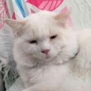 ヒメ日記 2025/05/15 09:25 投稿 まつゆき 町田人妻城