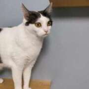 ヒメ日記 2025/07/25 22:22 投稿 まつゆき 町田人妻城