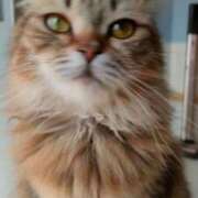 ヒメ日記 2025/08/01 11:56 投稿 まつゆき 町田人妻城