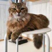 ヒメ日記 2025/11/01 09:24 投稿 まつゆき 町田人妻城