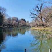 ヒメ日記 2026/03/16 09:43 投稿 まつゆき 町田人妻城