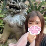 れいか たいきん ピュアコス学園