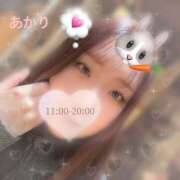 ヒメ日記 2024/12/21 11:39 投稿 あかり かりんとplus　上野御徒町