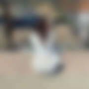 ヒメ日記 2025/06/20 12:40 投稿 あかり かりんとplus　上野御徒町