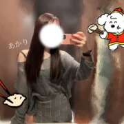 ヒメ日記 2025/10/08 11:52 投稿 あかり かりんとplus　上野御徒町