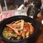 ヒメ日記 2025/04/13 15:03 投稿 七海　りょう 雫(しずく)