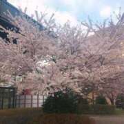 ヒメ日記 2025/05/04 04:18 投稿 七海　りょう 雫(しずく)